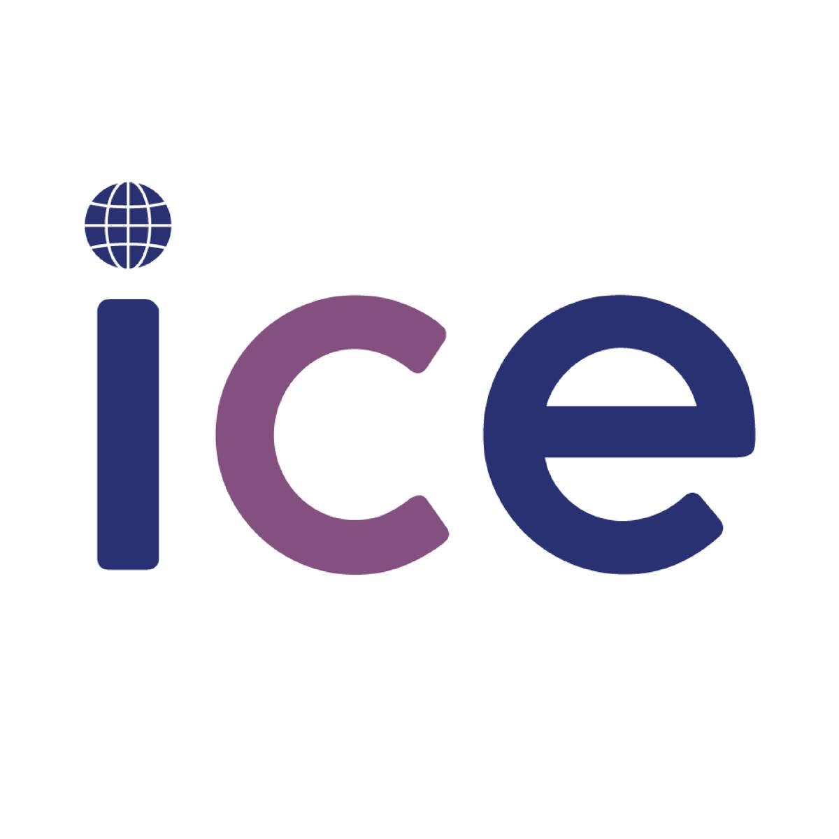 International College of Excellence logo